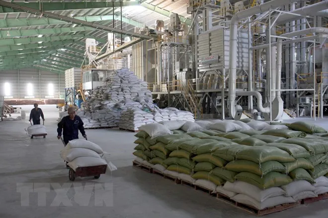 Kho chứa lúa, gạo có sức chứa 40.000 tấn của Vinafood 2 tại xã Xuân Hiệp, huyện Trà Ôn, Vĩnh Long. (Ảnh: Đình Huệ/TTXVN)
