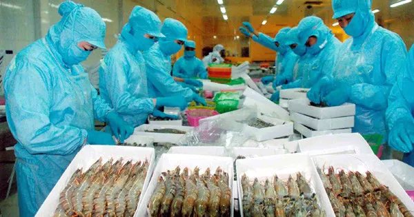 Thương vụ cần tăng tính chủ động hỗ trợ doanh nghiệp