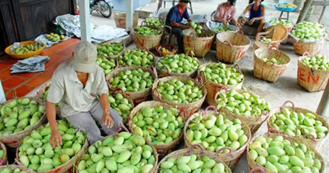 Cả nước xuất siêu gần 1,7 tỉ USD