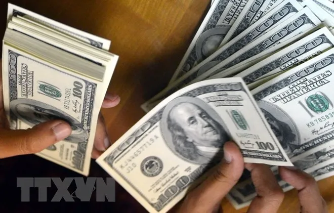 Kiểm đồng USD tại một cửa hàng đổi tiền ở Jakarta của Indonesia. (Ảnh: AFP/TTXVN)