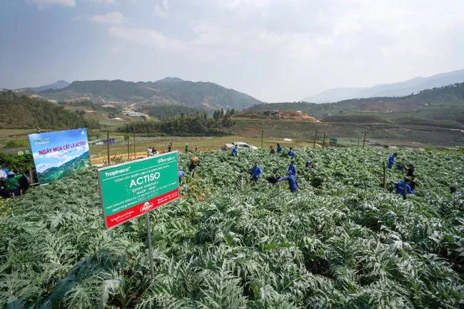 Traphaco nhân rộng giấc mơ “màu xanh”