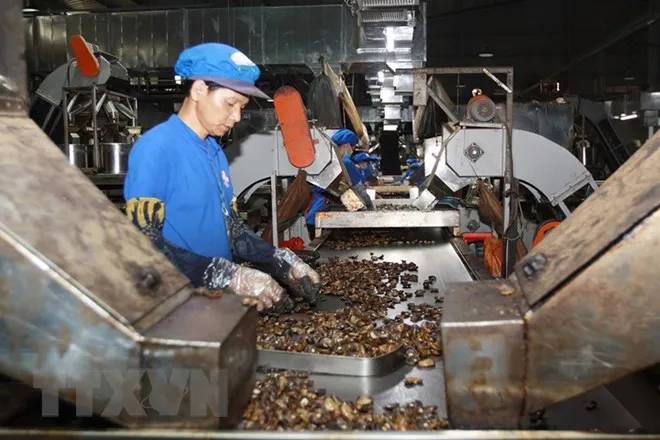 Việt Nam đặt mục tiêu đạt xuất khẩu nhân điều 10,5 tỷ USD