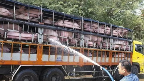 Một số sản phẩm nông sản, thực phẩm của Việt Nam gặp khó trong xuất khẩu khi phụ thuộc vào 1 thị trường. (Ảnh minh họa: KT)