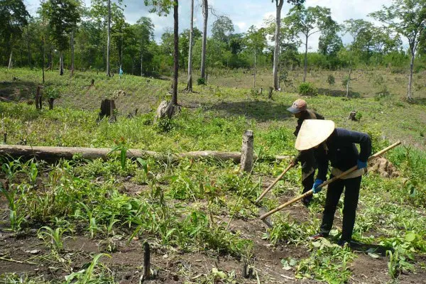 Các nông, lâm trường đang quản lý 9.192.221ha đất