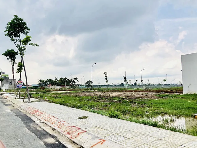 Sau một thời gian lên cơn sốt, đến nay thị trường đất nền đã chững lại