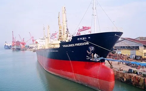 Thủ tướng phê duyệt phương án cổ phần hóa Vinalines, giá khởi điểm IPO là 10.000 đồng/cổ phần.