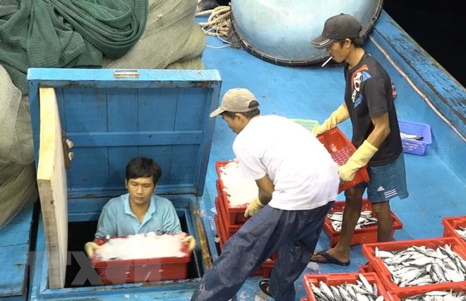 "Thẻ vàng" xuất khẩu hải sản: Tìm cơ hội từ thách thức