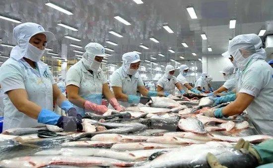 Nâng chất để phát triển bền vững