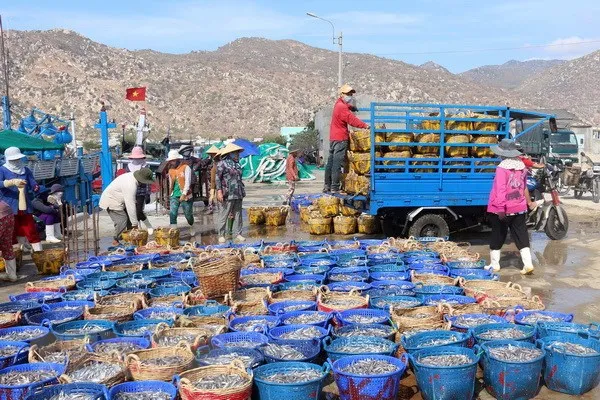 Khắc phục thẻ vàng IUU: Vẫn gặp khó xác nhận nguyên liệu