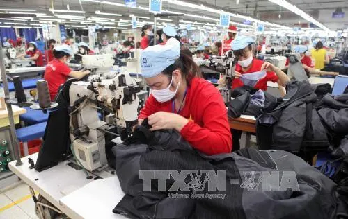 Công bố 225 doanh nghiệp xuất khẩu uy tín