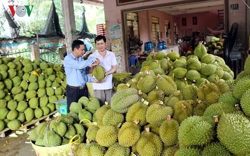 Xuất khẩu những tháng cuối năm 2018 còn nhiều thách thức