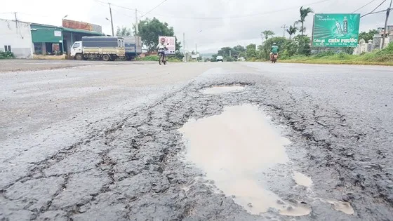Ổ voi trên đường Hồ Chí Minh qua huyện Ea H’leo