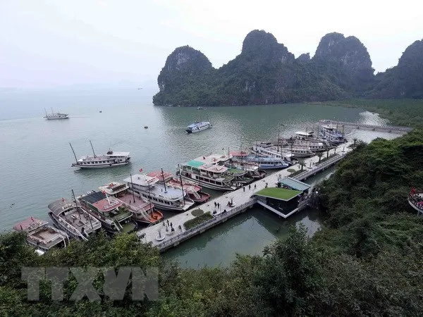 Tàu neo đậu trên vịnh Hạ Long. (Ảnh: Quang Quyết/TTXVN)