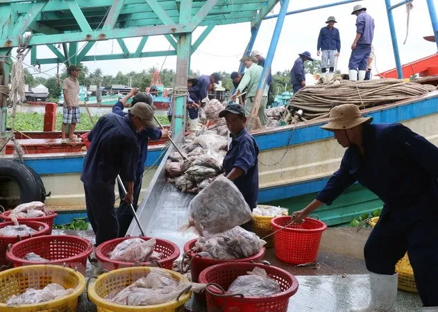 Khắc phục thẻ vàng IUU: Nhiều nơi chưa làm quyết liệt