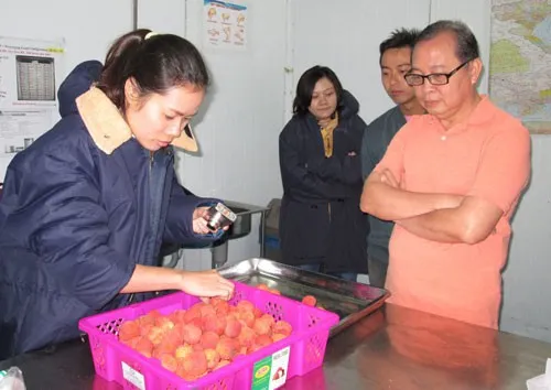 Xuất khẩu nông sản tăng nhưng số vụ bị cảnh báo do vấn đề an toàn thực phẩm cũng nhiều hơn. Ảnh minh họa: NLĐ