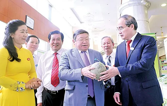 Bí thư Thành ủy TPHCM Nguyễn Thiện Nhân xem sản phẩm dưa lưới trồng tại TPHCM mang lại giá trị cao. Ảnh: CAO THĂNG