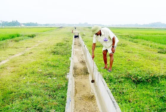 Cuối kênh N36 tại xã Tân Sơn cạn không giọt nước
