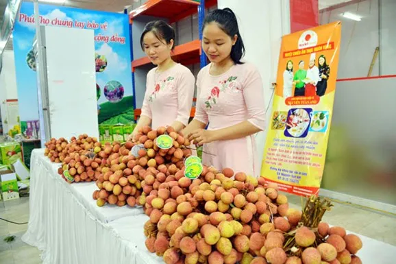 Xây dựng hệ thống truy xuất nguồn gốc