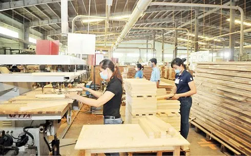 Giá trị xuất siêu lâm sản 8 tháng ước đạt 4,3 tỉ USD. (Ảnh: Báo Đầu tư)