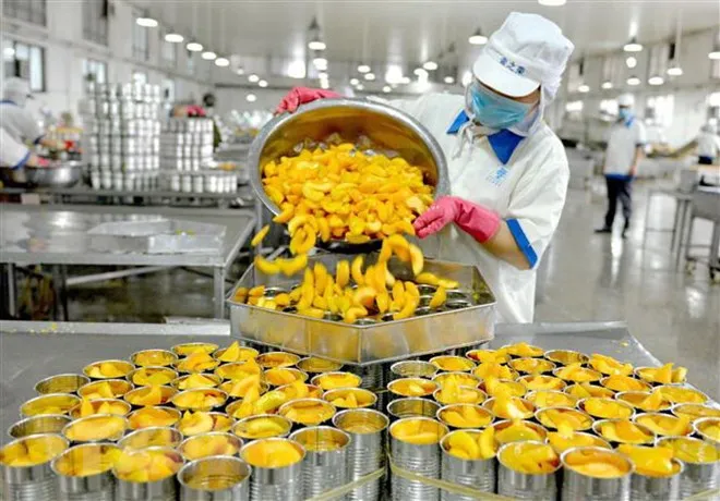 OECD: Căng thẳng thương mại đe dọa tăng trưởng kinh tế toàn cầu