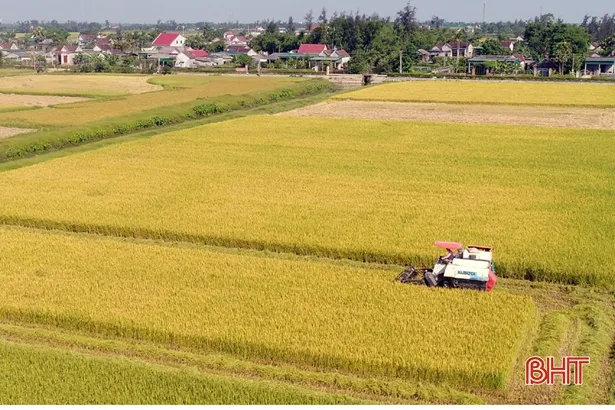 Đề xuất thí điểm “tích tụ ruộng đất”