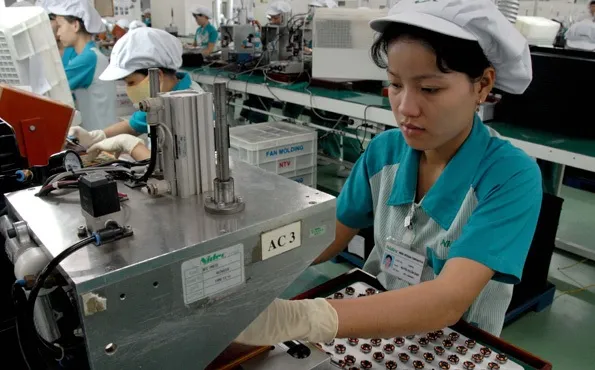 Nhiều doanh nghiệp Việt phá sản vì không biết chia lợi nhuận