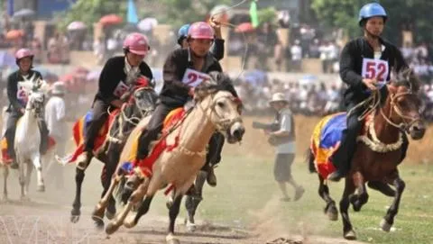 Hà Nội sẽ đầu tư xây dựng trường đua ngựa