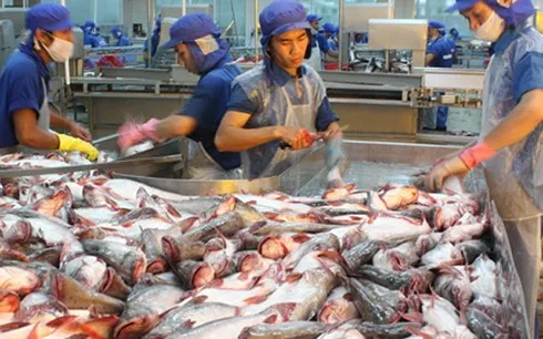 Chiến lược biển Việt Nam đến năm 2020 xác định hải sản là 1 trong 5 ngành kinh tế mũi nhọn. (Ảnh minh họa: KT)