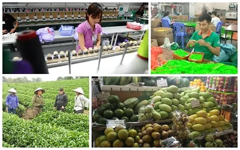 Sẽ xóa bỏ 99% thuế quan hàng hóa giao thương Việt Nam - EU