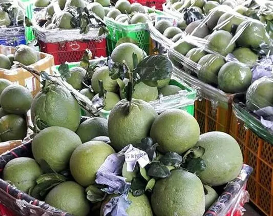 Xuất khẩu rau quả vẫn hướng tới 10 tỷ USD