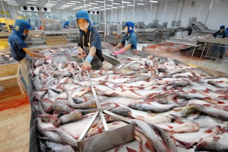 Xuất khẩu thủy sản đạt kỷ lục với 9 tỷ USD