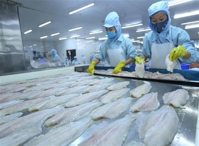 Thủy sản là một trong 4 mặt hàng xuất khẩu tăng trưởng mạnh nhất 9 tháng năm 2018. (Ảnh: Vũ Sinh/TTXVN)