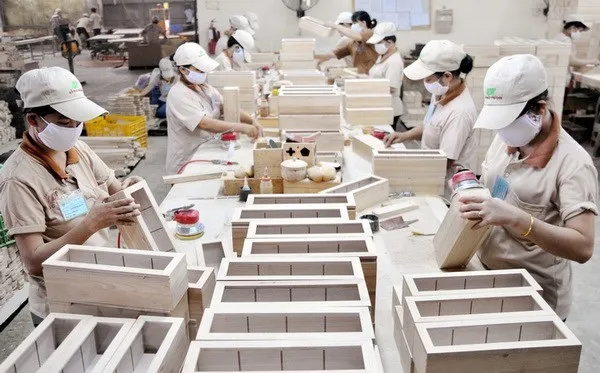 Thúc đẩy xuất khẩu gỗ sang EU