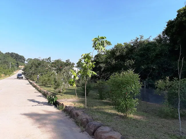 Phần đất của gia đình bà Yên khai khẩn năm 1981, nay nằm trong dự án khu du lịch, nhưng không được bồi thường