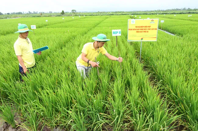 Đạm Cà Mau hoàn thành các chỉ tiêu sản xuất, kinh doanh quý I-2019