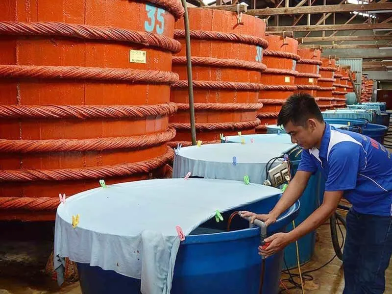 Đề nghị lập Hiệp hội Nước mắm truyền thống Việt Nam