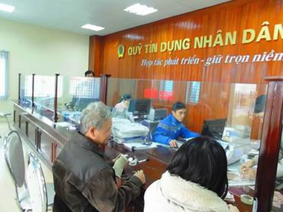 TPHCM: Tăng cường giám sát hoạt động quỹ tín dụng nhân dân 