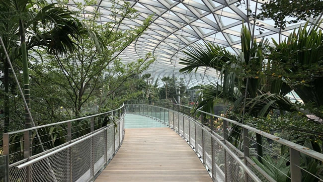 Jewel Changi: Kỳ quan sân bay mới tại Singapore ảnh 2 Jewel Changi: Kỳ quan sân bay mới tại Singapore ảnh 2