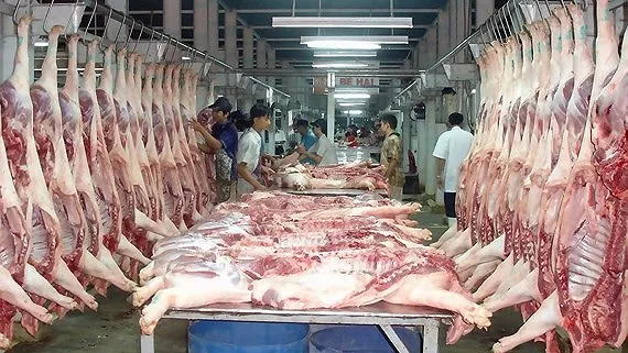 TPHCM lên kế hoạch dự trữ thịt heo, gà