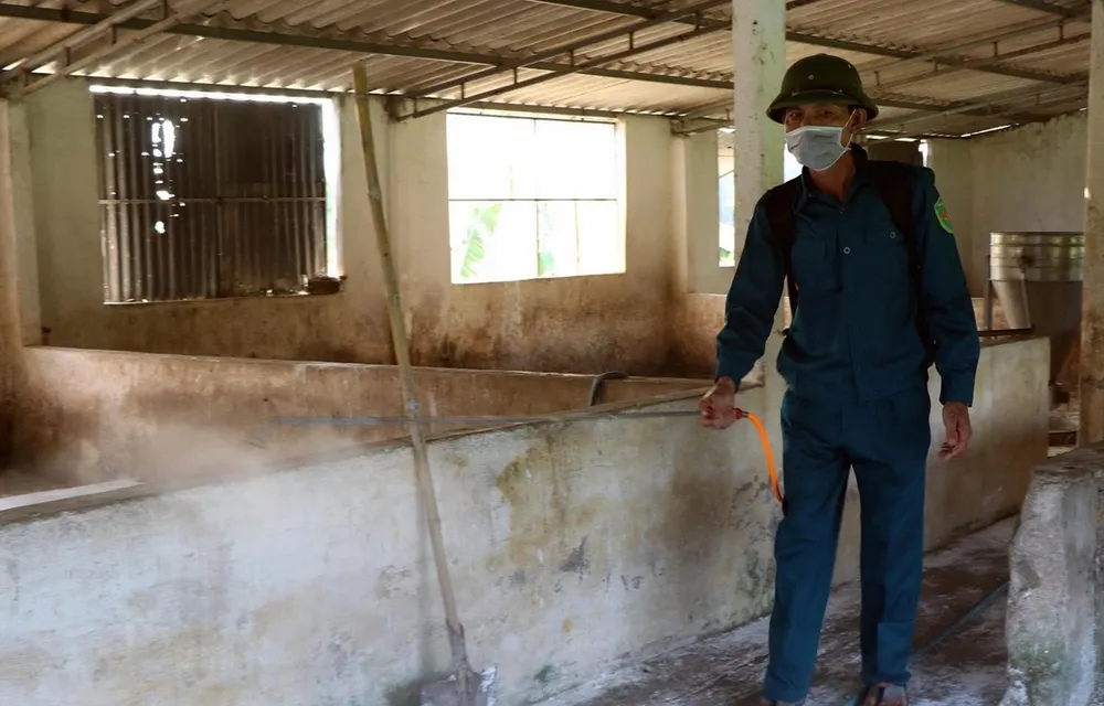 Lực lượng chức năng phun hóa chất tiêu độc khử trùng tại các trại chăn nuôi. (Ảnh: Công Tường/TTXVN)