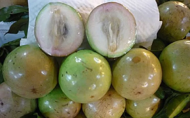 Giữ thương hiệu cho vú sữa