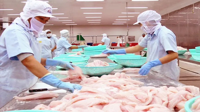 Châu Mỹ hấp dẫn doanh nghiệp xuất khẩu