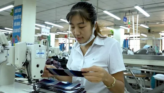 70% vải để phục vụ ngành may mặc tại Việt Nam hiện nhập khẩu từ Trung Quốc