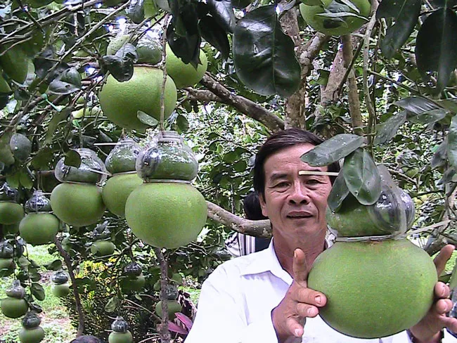 Hậu Giang đồng hành, chia sẻ khó khăn cùng doanh nhân ảnh 1 Hậu Giang đồng hành, chia sẻ khó khăn cùng doanh nhân ảnh 1