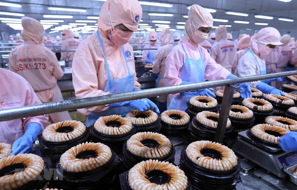 Dây chuyền chế biến sản phẩm tôm đông lạnh xuất khẩu tại nhà máy của Công ty Cổ phần Thủy sản Minh Phú Hậu Giang (Tập đoàn Thủy sản Minh Phú) tại Khu công nghiệp sông Hậu, huyện Châu Thành, tỉnh Hậu Giang. (Ảnh: Vũ Sinh/TTXVN)