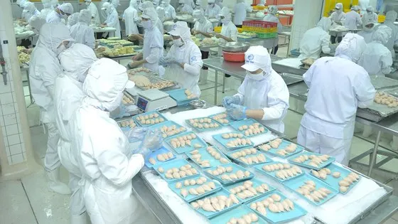 Ngành chế biến thực phẩm tại thành phố có doanh nghiệp dịch chuyển đầu tư cao. Ảnh: THÀNH TRÍ