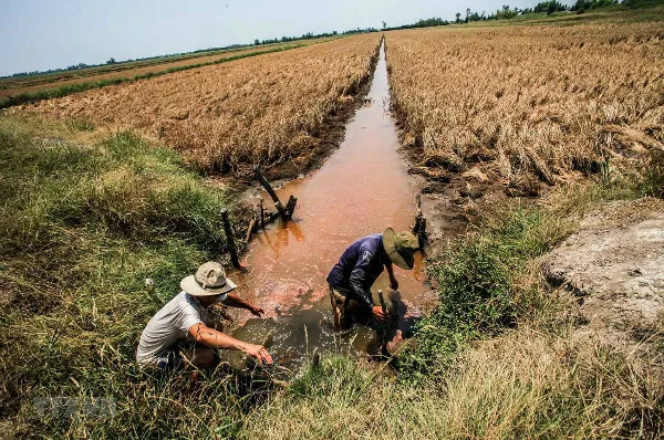 Nam bộ: Hạn mặn đến sớm