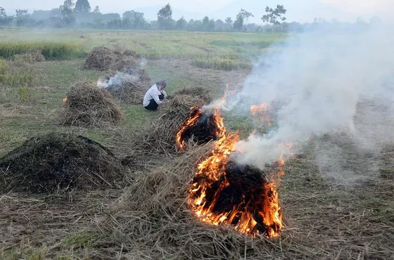 Đốt rơm rạ khiến không khí bị ô nhiễm. Ảnh: VOV