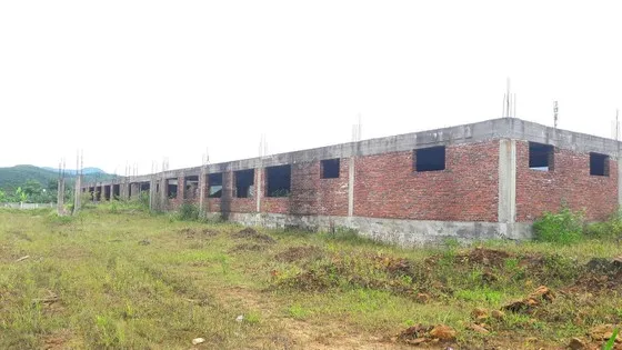 Nhiều dự án tại Khu công nghiệp Đại Kim bị trì trệ, dở dang, bỏ hoang ảnh 3