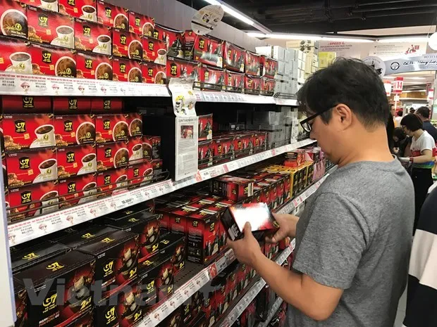 Mục tiêu phấn đấu đến 2030 xuất khẩu càphê đạt kim ngạch 6 tỷ USD. (Ảnh: Đức Duy/Vietnam+)